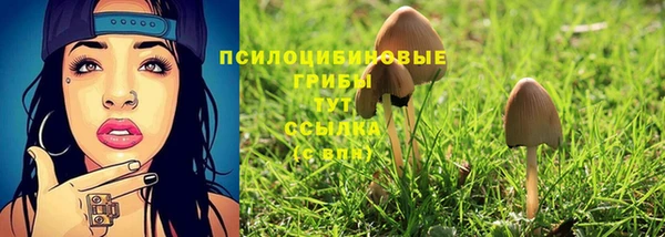 ECSTASY Каменск-Шахтинский