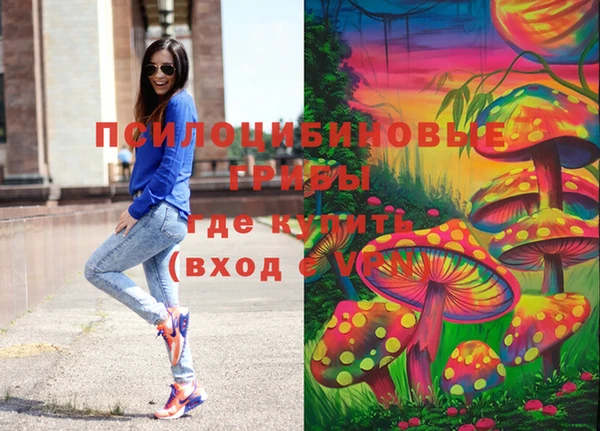 Альфа ПВП Каменногорск