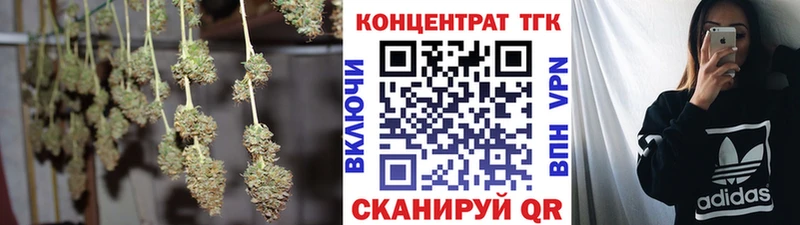 Купить закладки  Ржев  Дистиллят ТГК Wax 